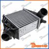 Intercooler pour VW | CNG-WW-016, 30848